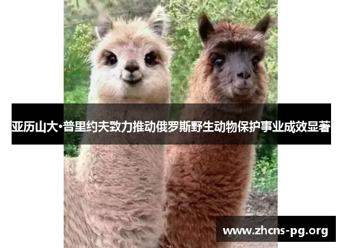 亚历山大·普里约夫致力推动俄罗斯野生动物保护事业成效显著 亚历山大·普里约夫致力推动俄罗斯野生动物保护事业成效显著