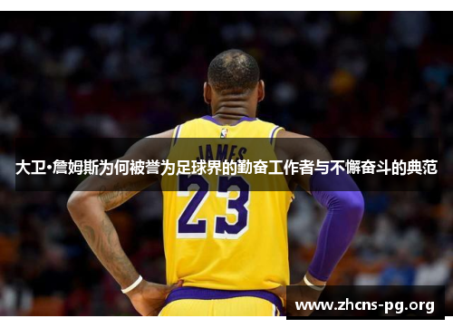 大卫·詹姆斯为何被誉为足球界的勤奋工作者与不懈奋斗的典范