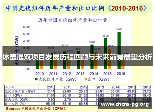 冰壶混双项目发展历程回顾与未来前景展望分析 冰壶混双项目发展历程回顾与未来前景展望分析