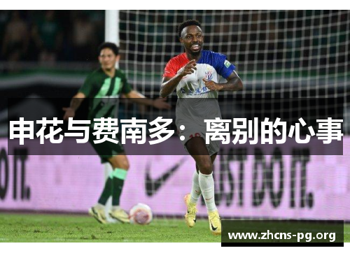 申花与费南多:离别的心事 申花与费南多:离别的心事